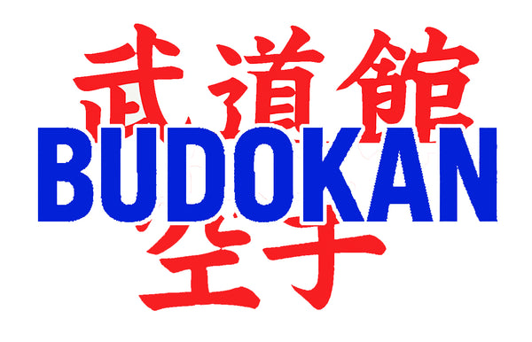 Budokan Karate