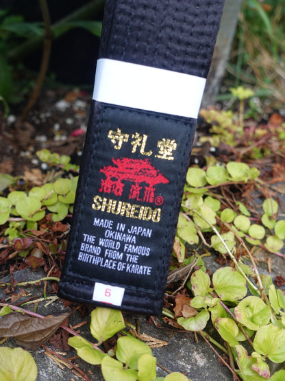 SHUREIDO Black Belt - Standard Width (4.0cm)